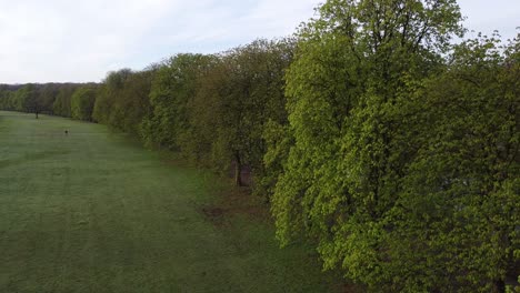 drone-shot-of-a-cologne-park-all-in-the-morning,-green-belt,-cologne,-germany