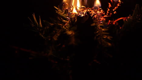 Pine-tree-on-fire,-burning-in-flammes---rack-focus