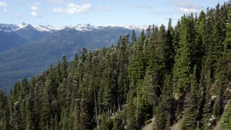 revelación de la extensión del bosque en whistler, canadá