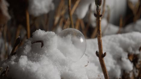 Motion-controlled-time-lapse-sequence-of-freezing-bubbles