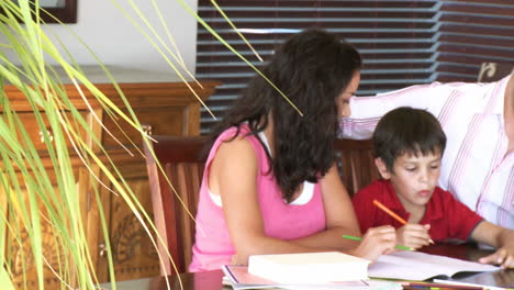 parents interested in their sons homework