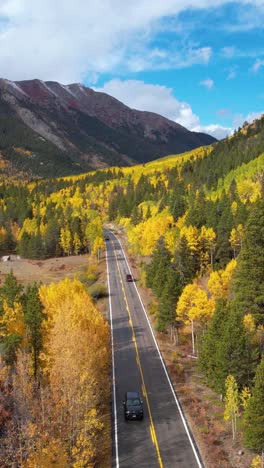 vertical drone shot of traffic on mountain pass, road in yellow green forest on sunny autumn day