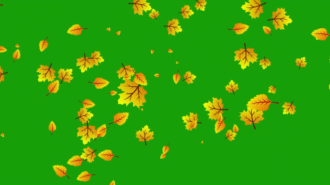 Foglie autunnali che cadono su sfondo green screen
