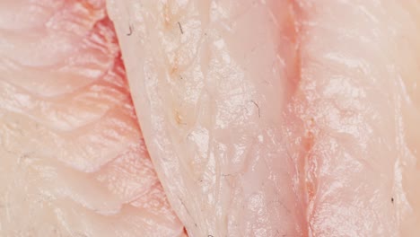 close up of sliced fish fillets