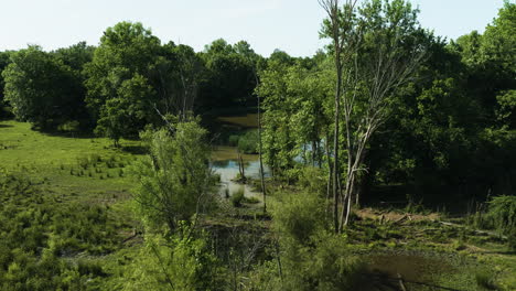 lake sequoia omringd door groen in het landelijke landschap van fayetteville in arkansas, vs
