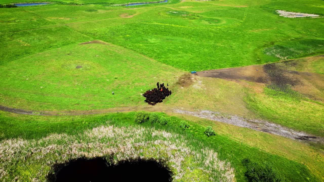 캐나다 매니토바 사스카처완 앨버타 환경 자연 농장 가축 소 가축 가축 가축 가축 가축 가축 가축