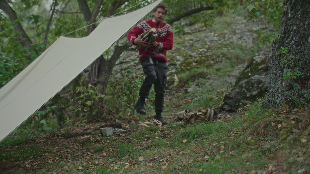 Man Bringing Chopped Firewood under Tarp Shelter at Forest Campsite