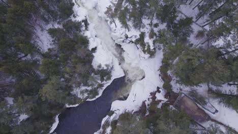 una toma aérea de un dron captura la impresionante belleza de una cascada congelada ubicada en un paisaje forestal invernal.