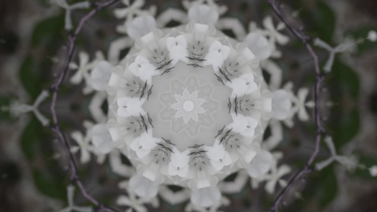 мандала с белым цветом