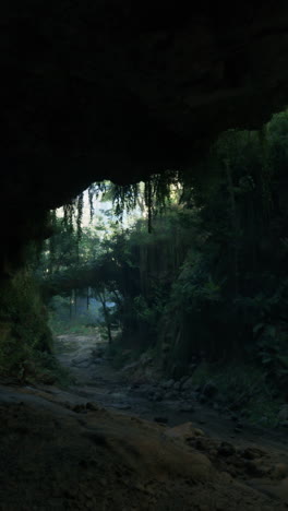 un camino oscuro y misterioso de la selva que conduce a una cueva