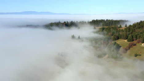 flyover above house in mountain forest clearing on beautiful foggy morning