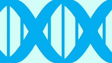 animation of dna strand icon moving on white background