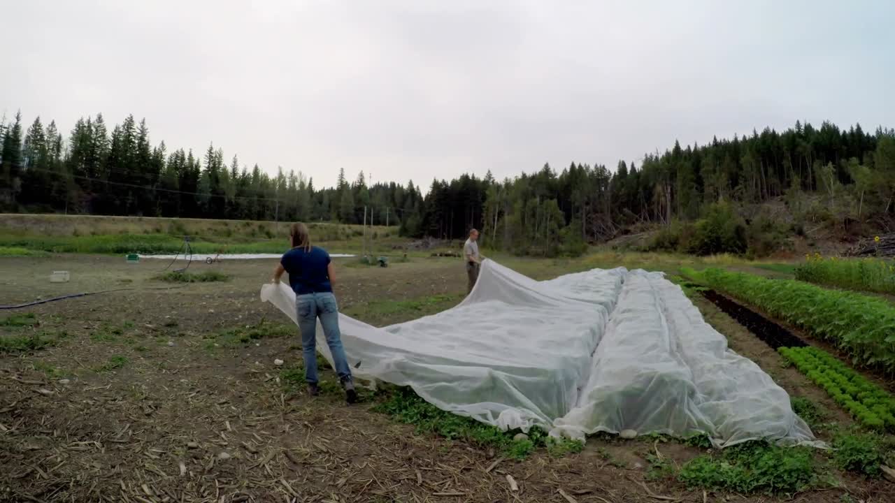 커버 4k를 가진 커버 플랜트  ⁇