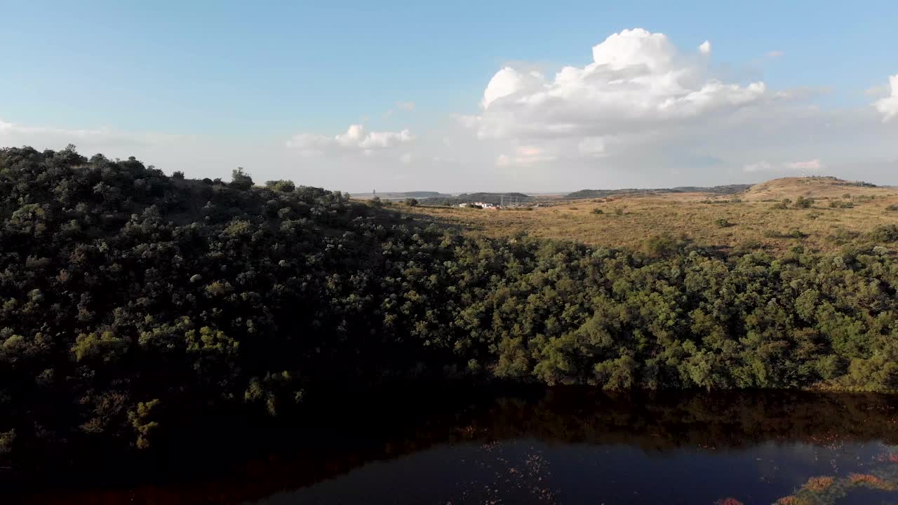 vuelo aéreo sobre espejo como estanque en verano con campo verde