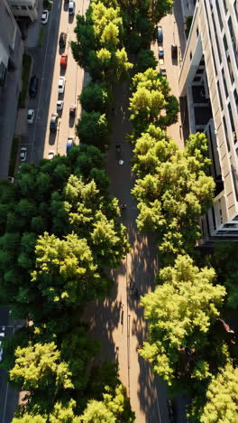 urban park with high-rise buildings