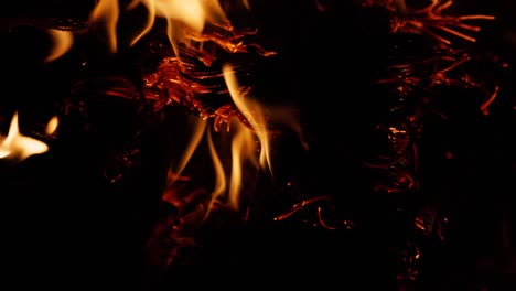 details with wood and embers burning in a camp fire pit at night.