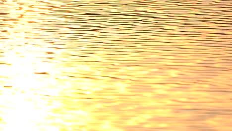 Golden screen background of wave water motion from sunset sunny surface pond background, abstract colorful wallpaper for creative graphic design, sun light reflect on water is beauty nature background