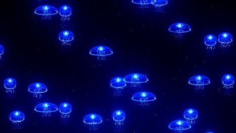 medusas iluminadas con luz de color bajo el agua, animación cg, bucle