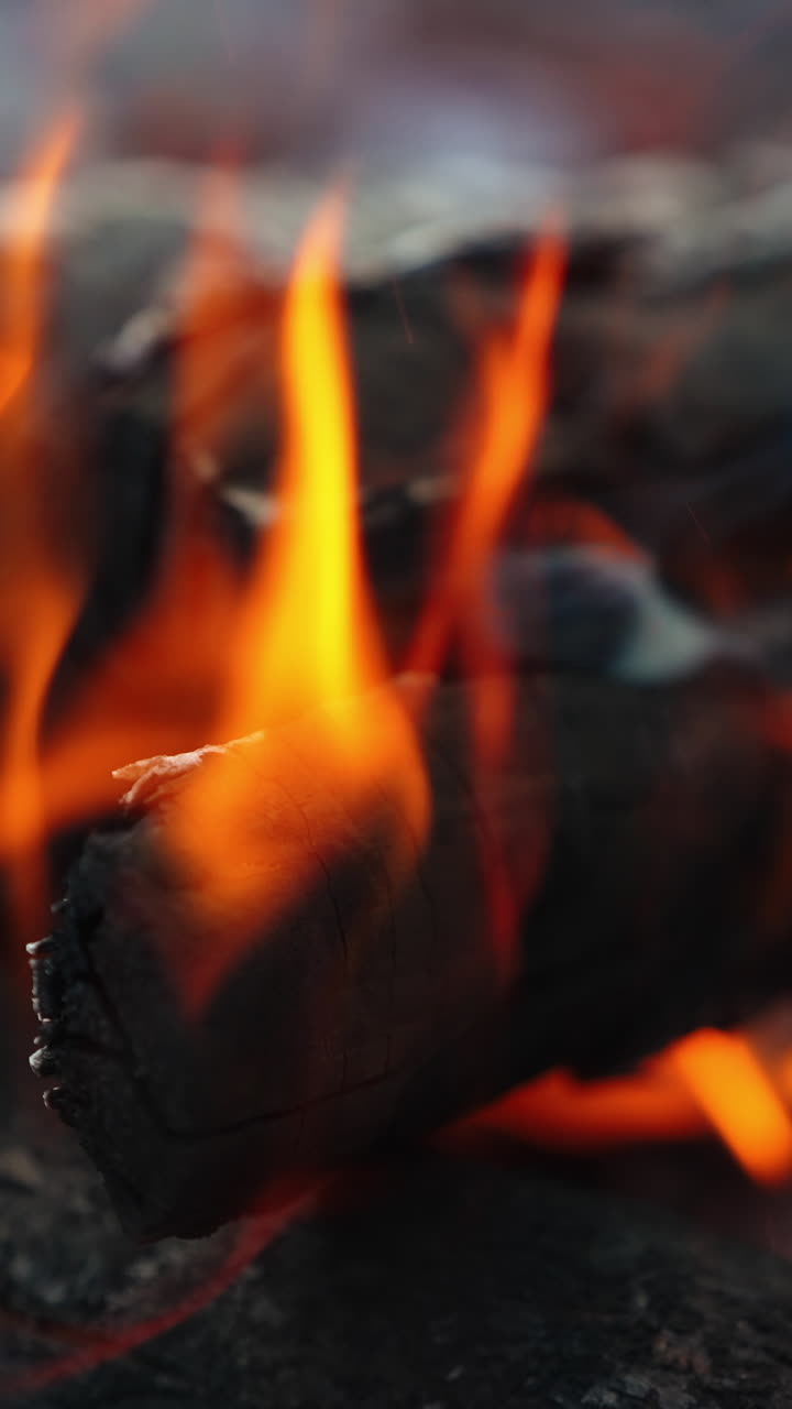 Burning bonfire with logs of wood. Burning hot firewoods fire sparks on dark background