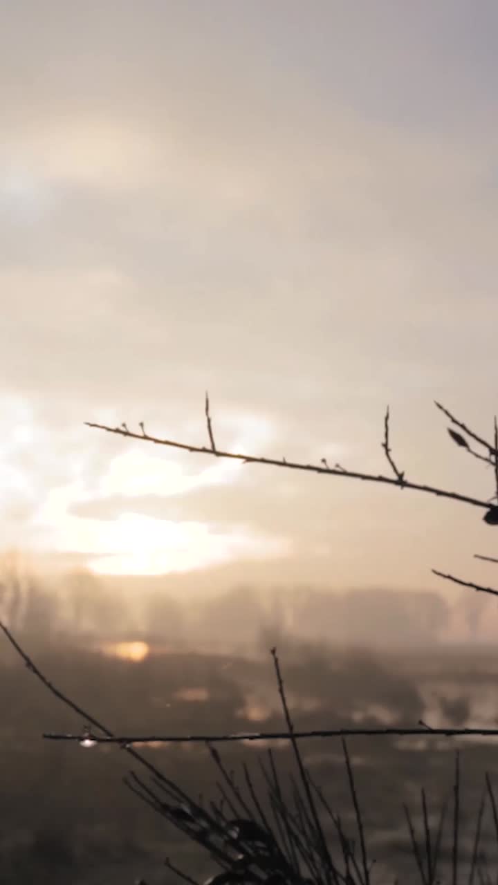 위 의 안개 가 가득 한 해가 뜨는 것