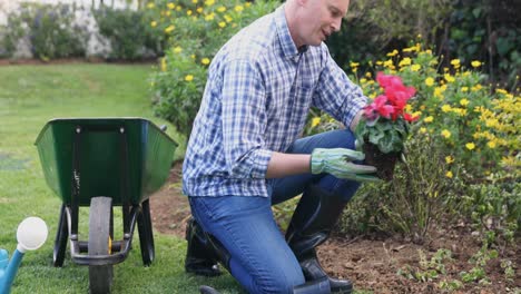 hombre plantando una planta en el jardín 4k