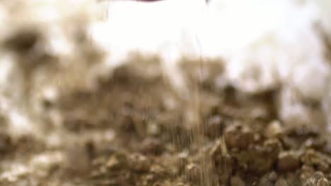 macro shot of hands processing madder root powder for dyeing organic textile clothing