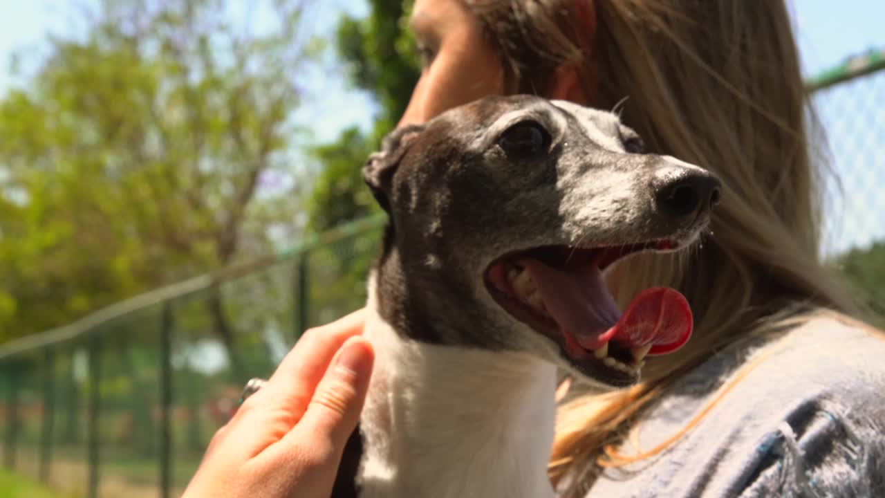 mujer rubia sosteniendo y besando a su perro galgo italiano en el parque