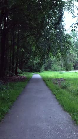 forest path