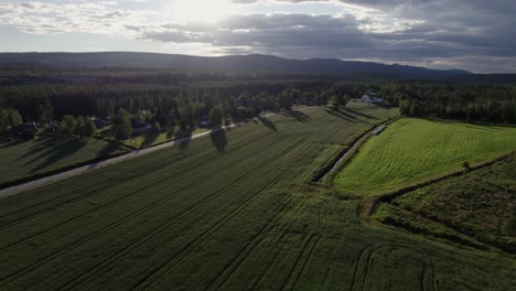 Mountains-And-Forest-Green-Valley-In-Norway-Aerial-View