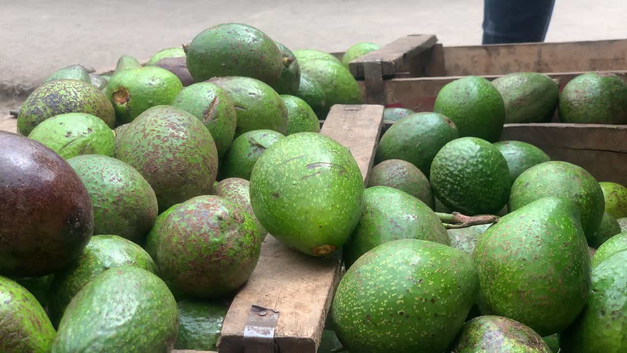 las frutas de aguacate caen dentro de las cajas que se descargan para prepararse para exhibirlas en la frutería