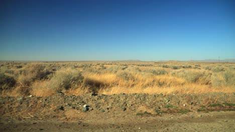 driving through the empty desert with dry plants passing by on the side of the road