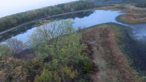 4k fpv drone flying down to trees