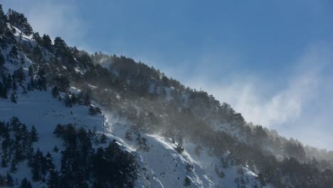 pyrenees video 03