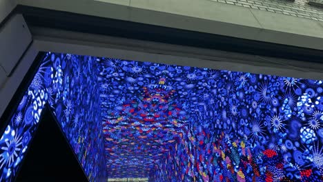 colorful butterflies in a digital art tunnel