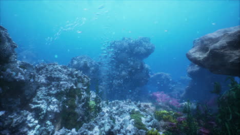 vibrante escena de arrecife de coral submarino con peces