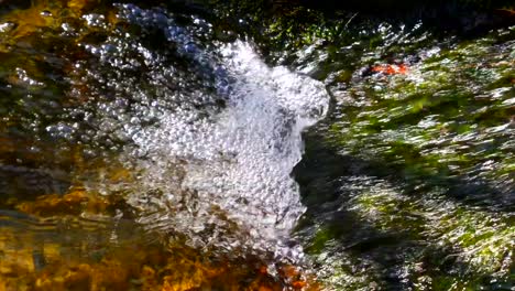 running water stream sound in sunny day