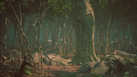 misterioso bosque de niebla