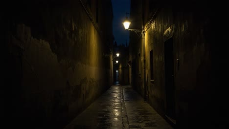 Dark and Atmospheric Alleyway at Night