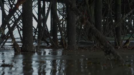 Structure-underneath-a-seaside-pier