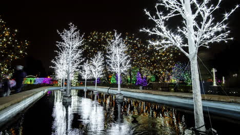 time lapse of the holiday light display at the hudson gardens and event center in colorado