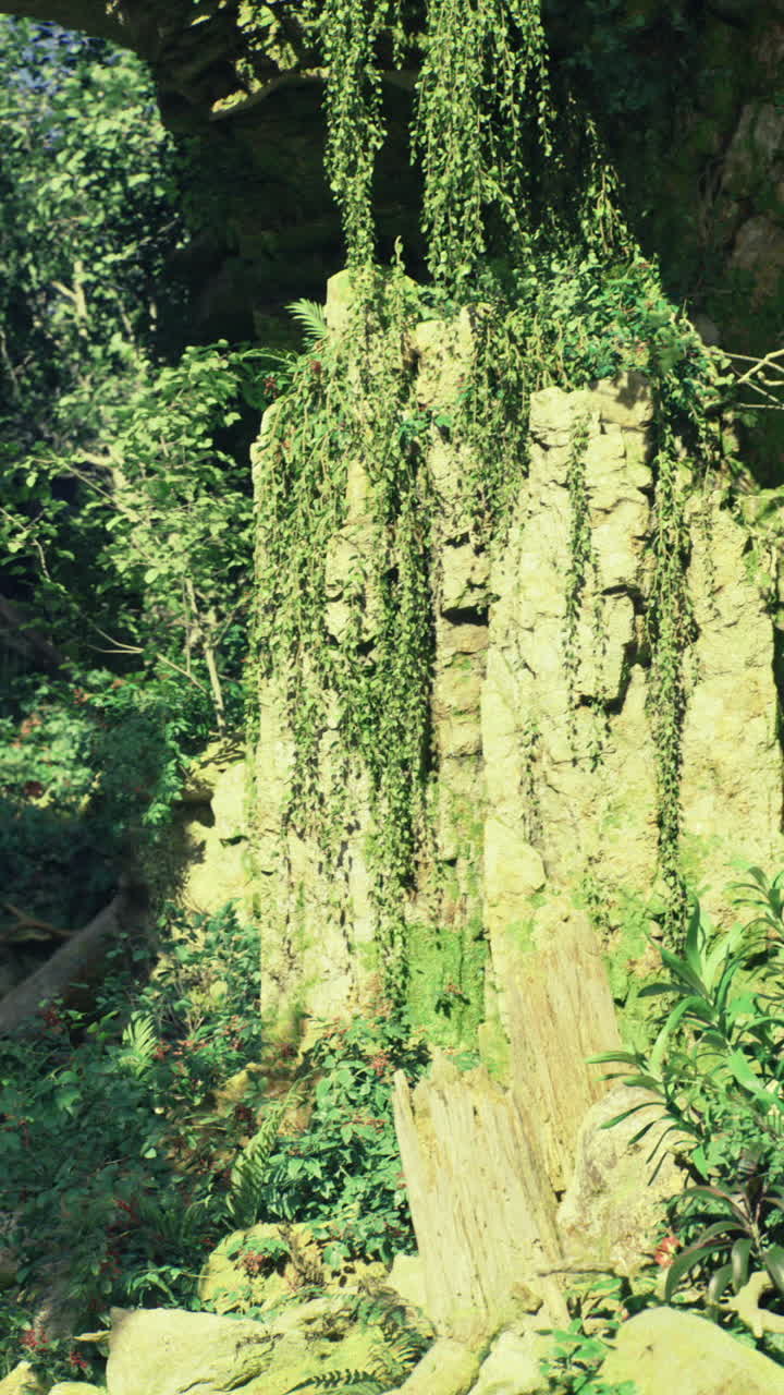 Lush greenery envelops ancient rock formations in a vibrant nature setting