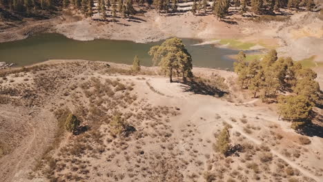 Aerial-shot-in-distance-of-the-famous-Cassandra-tree-on-a-sunny-day-and-where-you-can-see-the-grove-of-the-place