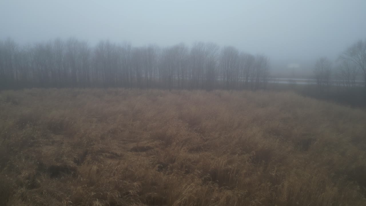 volando sobre un campo no utilizado que está cubierto de maleza en medio de una espesa niebla espesa