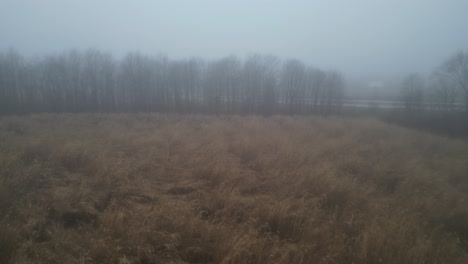 Flying-over-an-unused-field-that-is-overgrown-in-the-middle-of-a-thick-heavy-fog