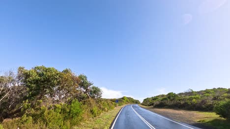 a serene drive through lush greenery
