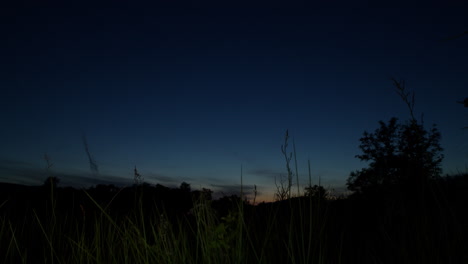 sunset over forest, dark blue evening sky with red hues over horizon, black silhouetted trees, stark contrast between black and vanishing light