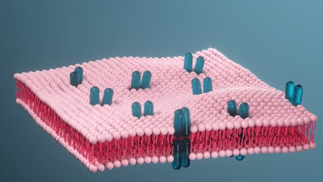 citomembrana y biología, vida y salud, renderización en 3d.