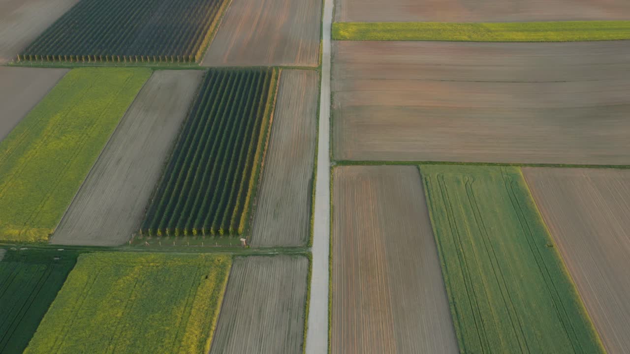 Aerial view of rural landscape with dirty road in the middle of frame. Flying over agriculture land, apple orchard, rapeseed field, and wheat.