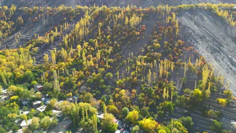 Drone-flight-over-the-valley-with-green-trees-and-a-river-in-skardu-city