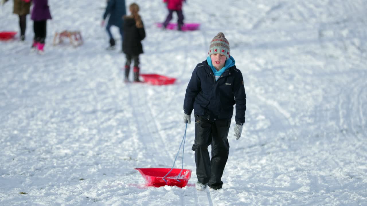 niños que van en trineo en el parque